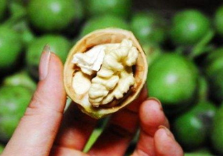 新鮮核桃要?jiǎng)兤?？剝皮時(shí)手變黑怎么清洗？