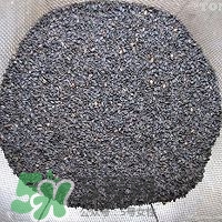 核桃粉怎么做？核桃粉的功效與作用