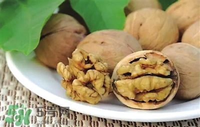 核桃分心木可以煲湯嗎？核桃分心木可以和枸杞泡水嗎？