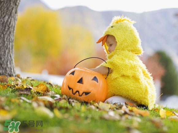 核桃粉哪個牌子好？核桃粉價格