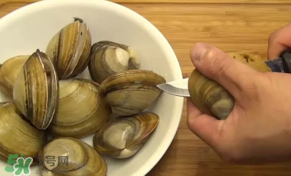 北極貝多少錢一斤？北極貝長什么樣子