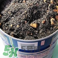 核桃粉怎么做？核桃粉的功效與作用