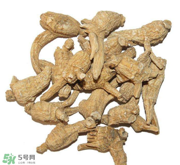 花旗參和西洋參的區(qū)別 花旗參好還是西洋參好？