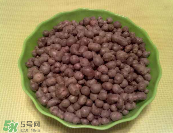 山藥豆是什么東西？山藥豆是長在土里嗎？