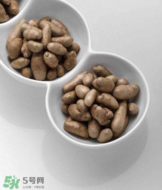 山藥豆是怎么長出來的？山藥豆是山藥的種子嗎？