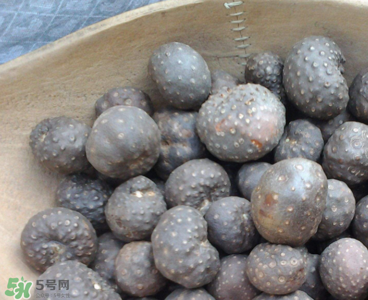 山藥豆是怎么長出來的？山藥豆是山藥的種子嗎？