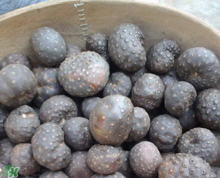 山藥豆能生吃嗎？山藥豆能帶皮吃嗎？