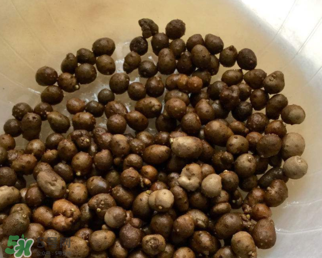 山藥豆能生吃嗎？山藥豆能帶皮吃嗎？