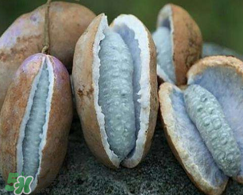 八月炸皮能吃嗎_怎么吃法_功效與作用 八月炸皮能吃嗎_怎么吃法_功效與作用