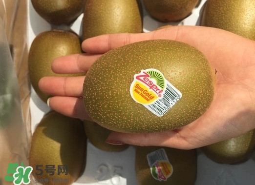 黃心獼猴桃叫什么名字？黃心獼猴桃是什么品種