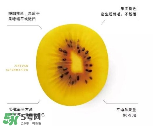 黃心獼猴桃叫什么名字？黃心獼猴桃是什么品種