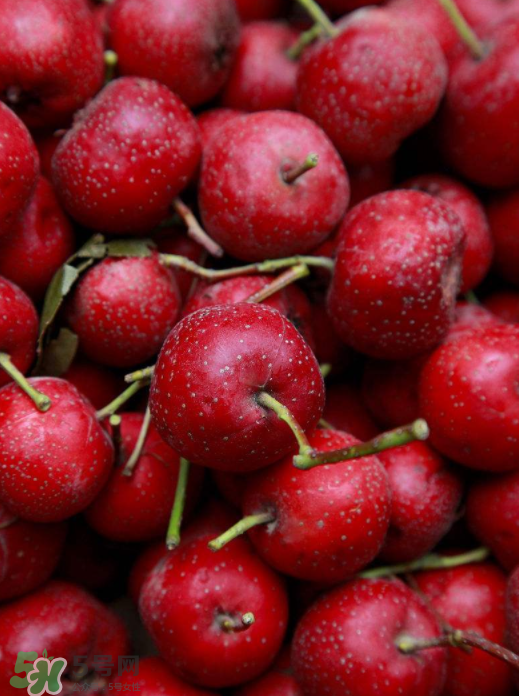 山楂和什么泡水喝好？山楂泡水最佳搭配