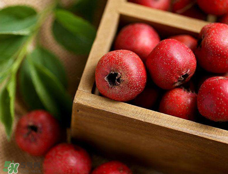 山楂和枸杞能一起泡水喝嗎？