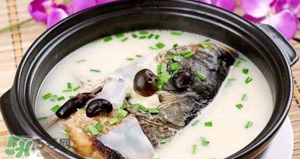 怎樣吃魚(yú)最有營(yíng)養(yǎng)？喝魚(yú)湯會(huì)致高脂血癥嗎？