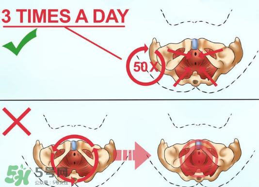 鍛煉pc肌真的有用嗎？練pc肌可以增長性愛時(shí)間嗎？
