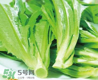 萵苣葉能吃嗎？萵苣葉和油麥菜有什么區(qū)別