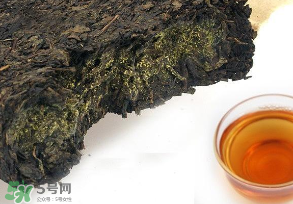 茯茶是熱性還是涼性？茯茶是不是放越久越好？