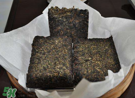 茯茶是熱性還是涼性？茯茶是不是放越久越好？