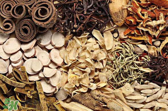 清熱降火的中藥有哪些？清熱降火的中藥大全