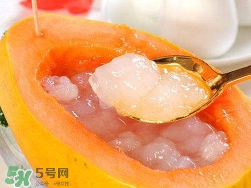 如何分辨雪蛤真假？挑雪蛤的方法