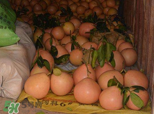 三紅蜜柚怎么儲(chǔ)藏保鮮？三紅蜜柚苗哪里可以買到