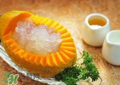 雪蛤膏是啥？雪蛤膏的功效與作用