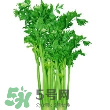 醋泡洋蔥能降血壓嗎？哪些食物可以降血壓？