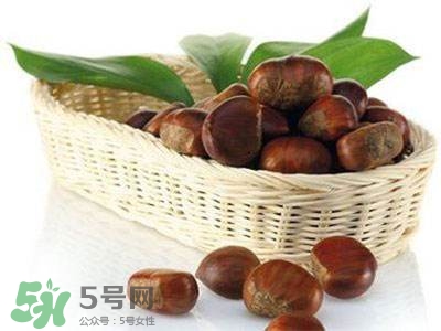 板栗酒能治療腎陽虛嗎？板栗泡酒真的能壯陽嗎？