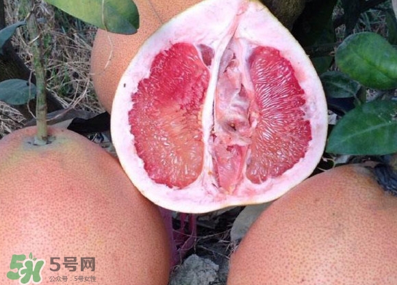 三紅蜜柚口味怎么樣？三紅蜜柚苗多少錢一棵