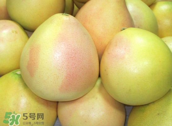 三紅蜜柚什么時候種植？三紅蜜柚什么時候成熟