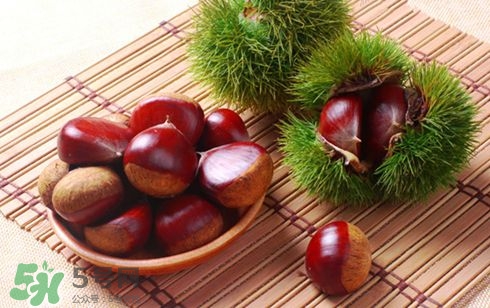 板栗酒能治療腎陽虛嗎？板栗泡酒真的能壯陽嗎？