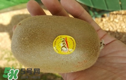 黃心獼猴桃叫什么名字？黃心獼猴桃是什么品種