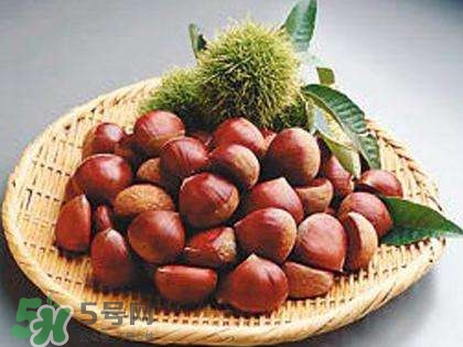 板栗酒能治療腎陽虛嗎？板栗泡酒真的能壯陽嗎？