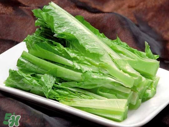 萵苣葉能吃嗎？萵苣葉和油麥菜有什么區(qū)別