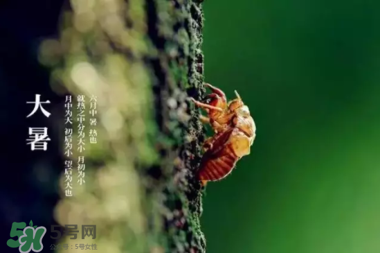 三伏天怎樣飲食？三伏天不宜做哪些事？