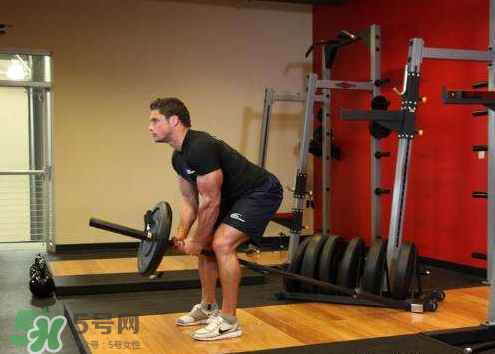 杠鈴劃船腰疼是什么原因？杠鈴劃船動(dòng)作要領(lǐng)