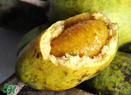 牛卵坨什么時候成熟 牛卵坨多少錢一斤 牛卵坨什么時候成熟 牛卵坨多少錢一斤