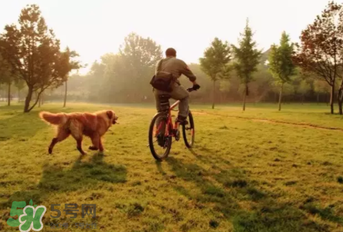 三伏天要做什么？三伏天不能忘做的事