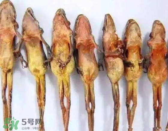 雪蛤干多少錢一斤？雪蛤干怎么吃？