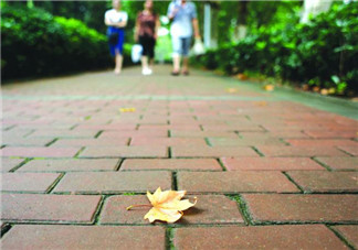 三伏天要做什么？三伏天不能忘做的事