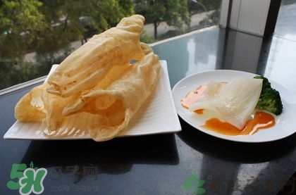 花膠可以放多久？花膠可以放冰箱嗎？