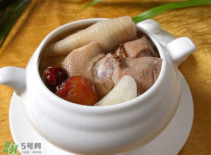 花膠可以放多久？花膠可以放冰箱嗎？