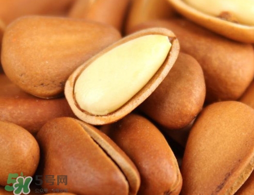 松籽多少錢一斤？松籽怎么炒能開口
