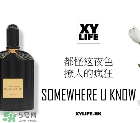 tom ford午夜蘭花香水多少錢？午夜蘭花香水專柜價格