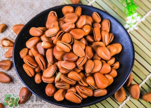 松籽什么季節(jié)采摘？吃松籽有什么好處？