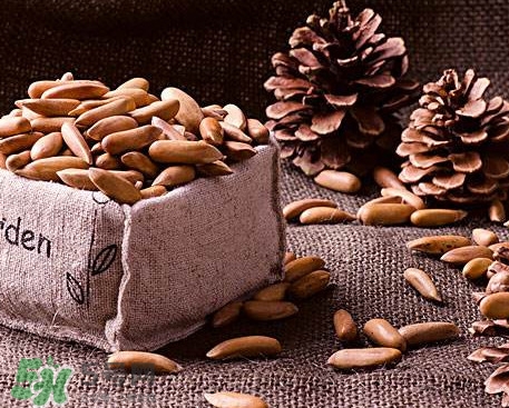 松籽好吃嗎？松籽怎么吃