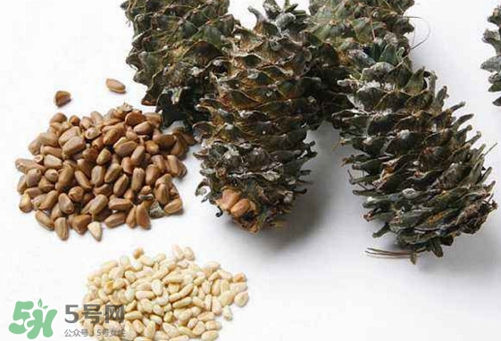 松子是松樹(shù)的果實(shí)嗎？松子是酸性還是堿性