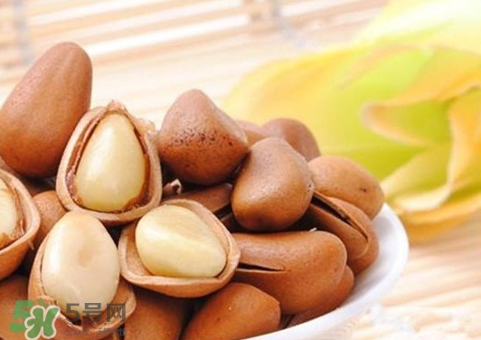 松子一天吃多少粒為宜？松子吃多了有什么壞處