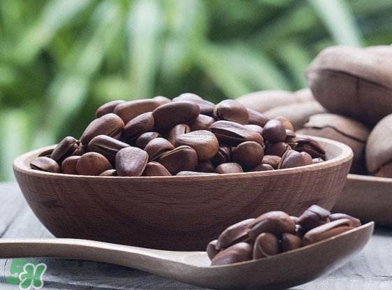 松籽多少錢一斤？松籽怎么炒能開口