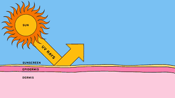 先畫眼線還是眼影 先畫眼線還是先畫眼影 先畫眼線還是眼影 先畫眼線還是先畫眼影